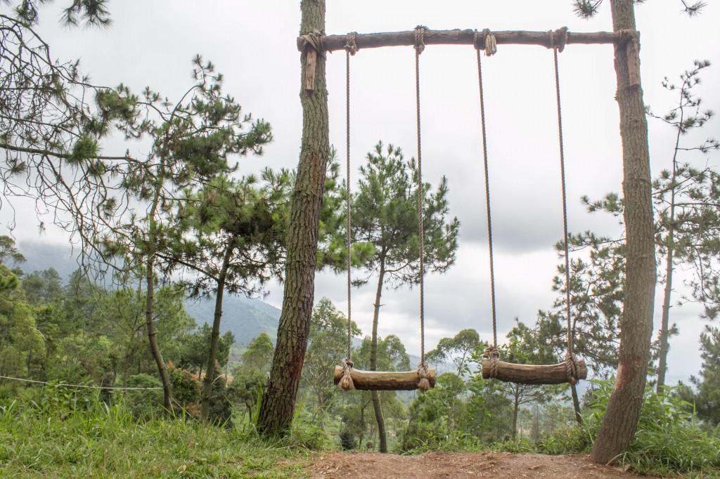 Papandayan Camping Ground Cileuleuy Ngoại thất bức ảnh