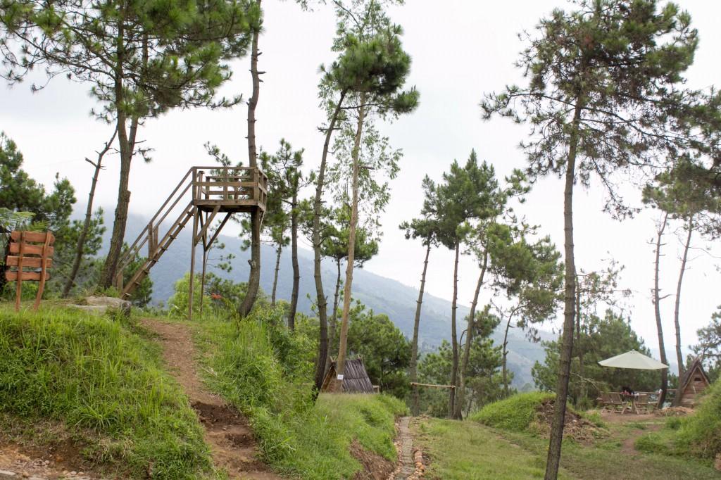 Papandayan Camping Ground Cileuleuy Ngoại thất bức ảnh
