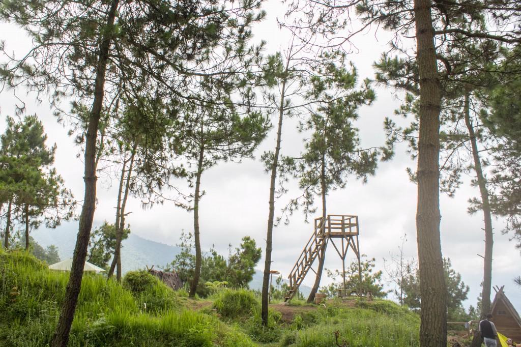 Papandayan Camping Ground Cileuleuy Ngoại thất bức ảnh