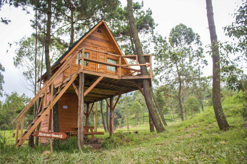 Papandayan Camping Ground Cileuleuy Ngoại thất bức ảnh