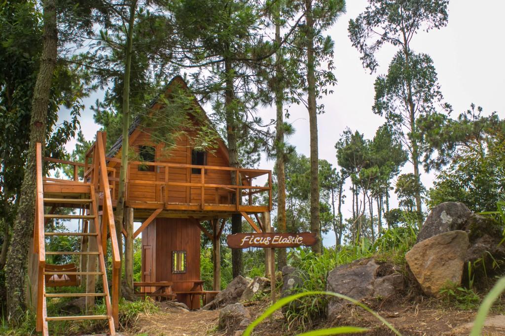 Papandayan Camping Ground Cileuleuy Ngoại thất bức ảnh