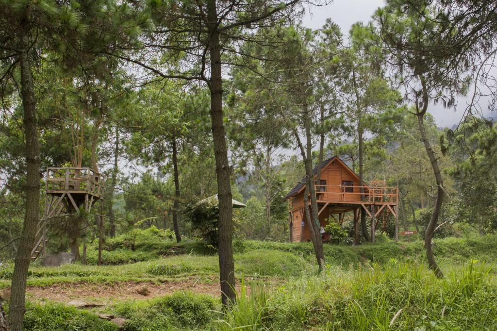 Papandayan Camping Ground Cileuleuy Ngoại thất bức ảnh