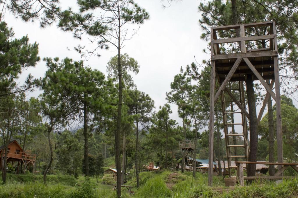 Papandayan Camping Ground Cileuleuy Ngoại thất bức ảnh