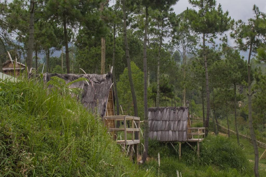 Papandayan Camping Ground Cileuleuy Ngoại thất bức ảnh